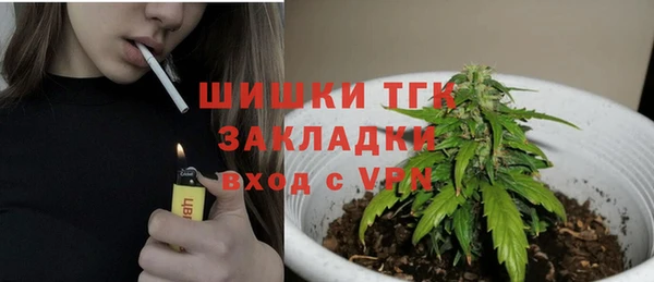 сатива Нязепетровск