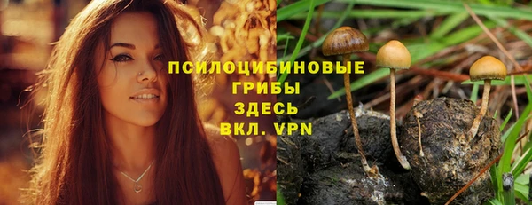 кокс Алексеевка
