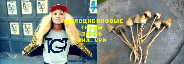 кокс Алексеевка