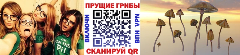 Галлюциногенные грибы ЛСД  Чердынь 